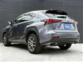 2020 Lexus NX