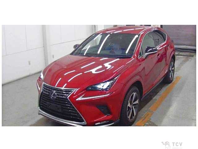 2020 Lexus NX