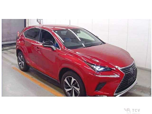2020 Lexus NX