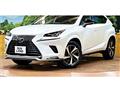 2020 Lexus NX