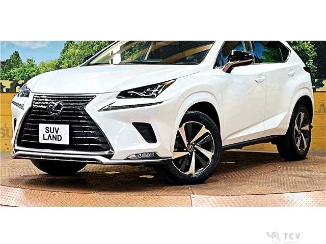 2020 Lexus NX