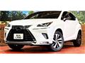 2020 Lexus NX