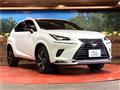 2020 Lexus NX