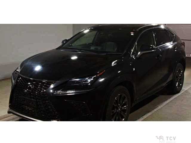 2020 Lexus NX