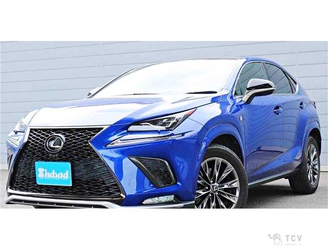 2020 Lexus NX