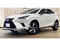 2020 Lexus NX