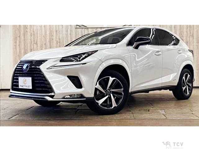 2020 Lexus NX