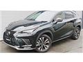 2020 Lexus NX