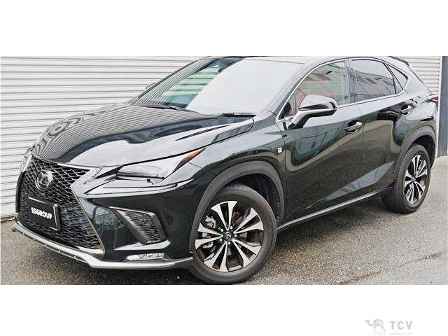 2020 Lexus NX