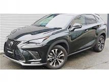 2020 Lexus NX