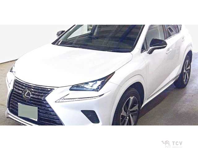 2020 Lexus NX
