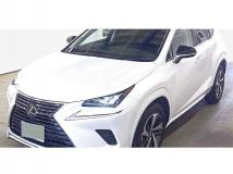 2020 Lexus NX