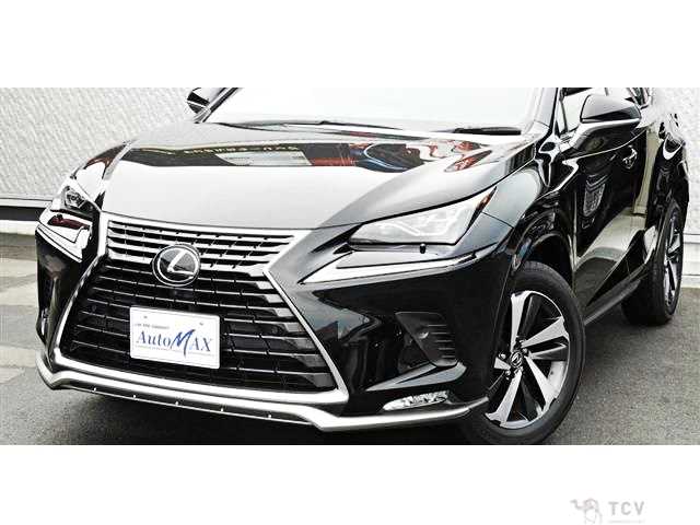 2020 Lexus NX