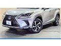 2020 Lexus NX