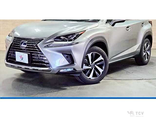 2020 Lexus NX