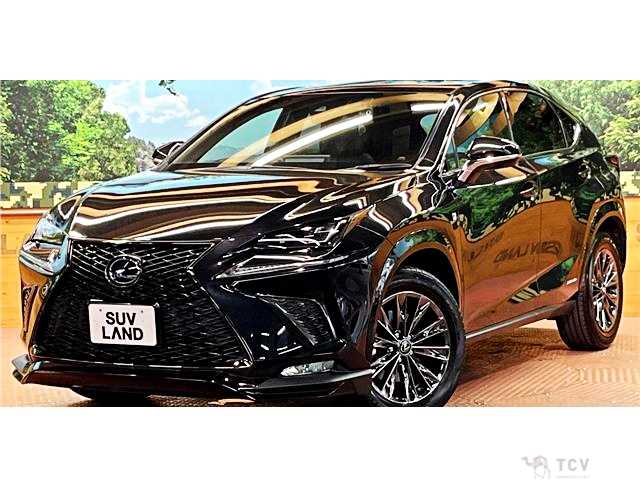 2020 Lexus NX