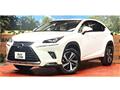 2019 Lexus NX