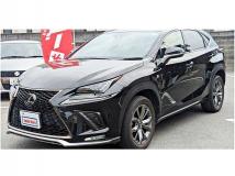 2019 Lexus NX
