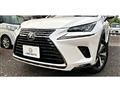 2019 Lexus NX