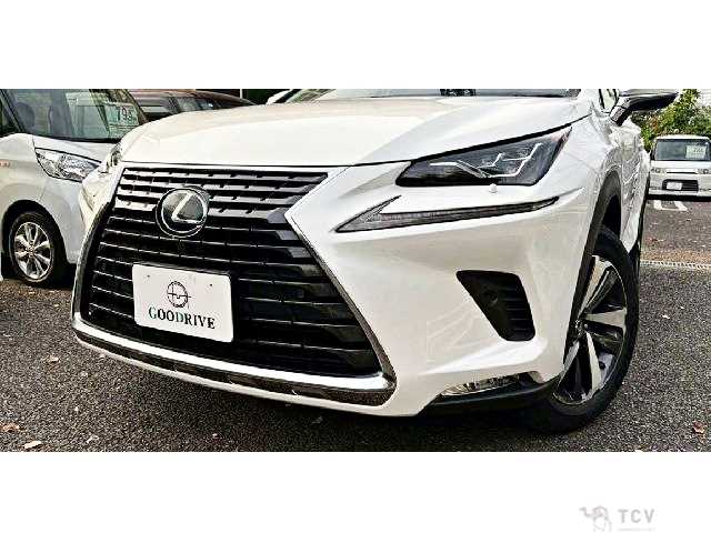 2019 Lexus NX
