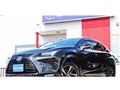 2019 Lexus NX