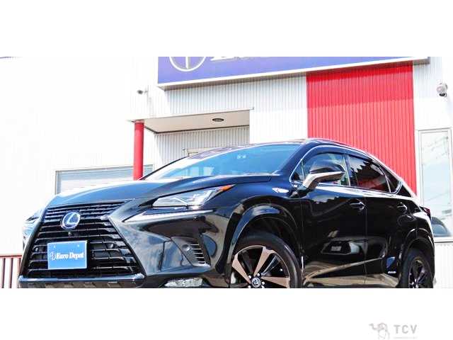 2019 Lexus NX