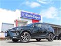 2019 Lexus NX