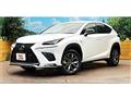 2019 Lexus NX
