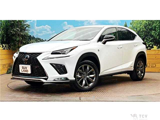 2019 Lexus NX