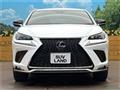 2019 Lexus NX