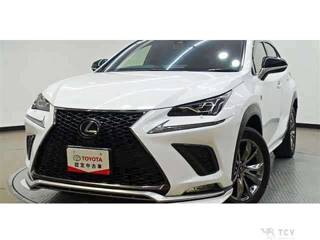 2019 Lexus NX