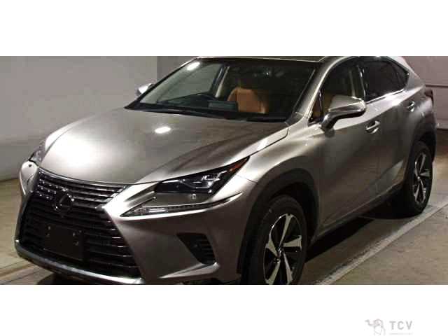 2018 Lexus NX