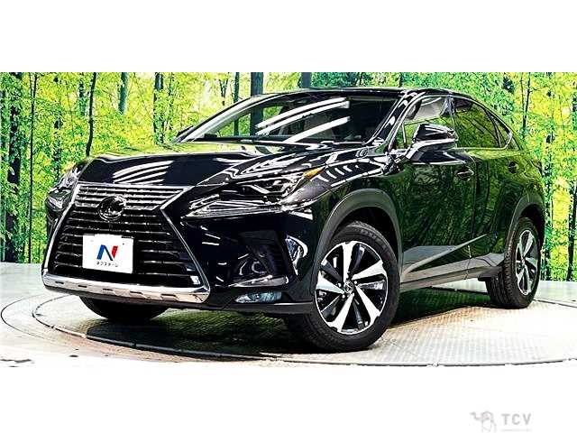 2018 Lexus NX