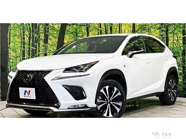 2018 Lexus NX