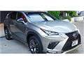 2018 Lexus NX