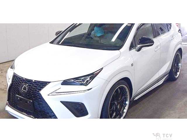 2018 Lexus NX