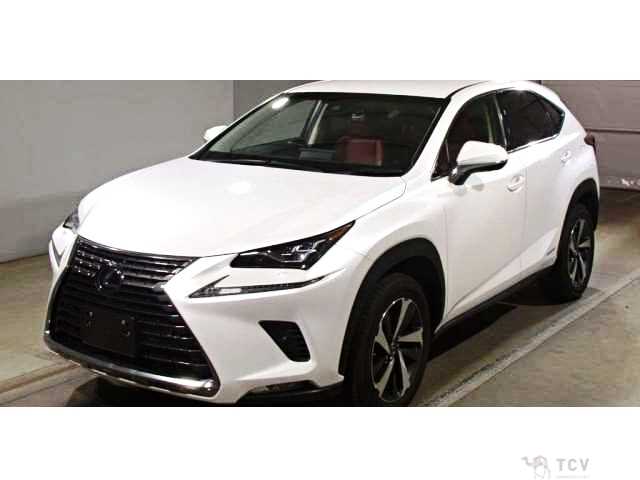2018 Lexus NX