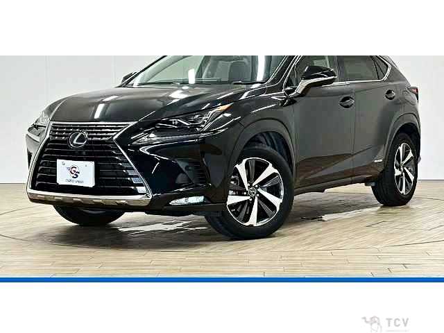 2018 Lexus NX