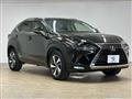 2018 Lexus NX