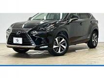 2018 Lexus NX