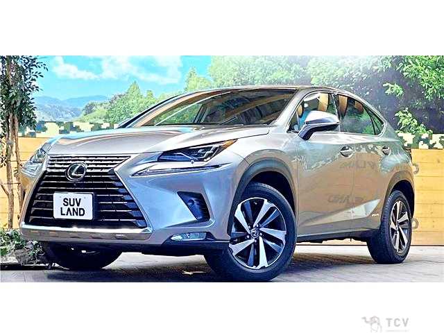 2018 Lexus NX