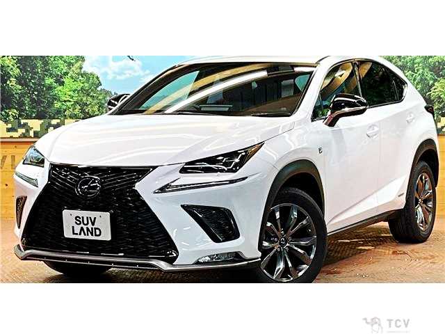 2018 Lexus NX