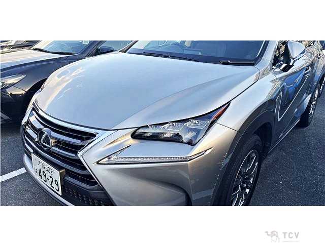 2014 Lexus NX