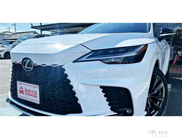 2025 Lexus RX