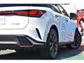 2025 Lexus RX