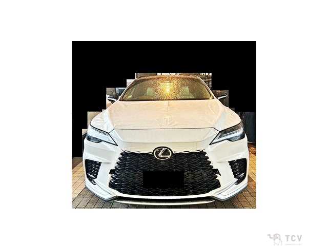 2025 Lexus RX