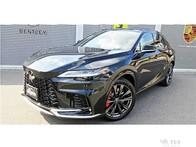 2025 Lexus RX