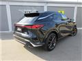 2025 Lexus RX