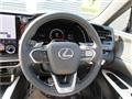 2025 Lexus RX