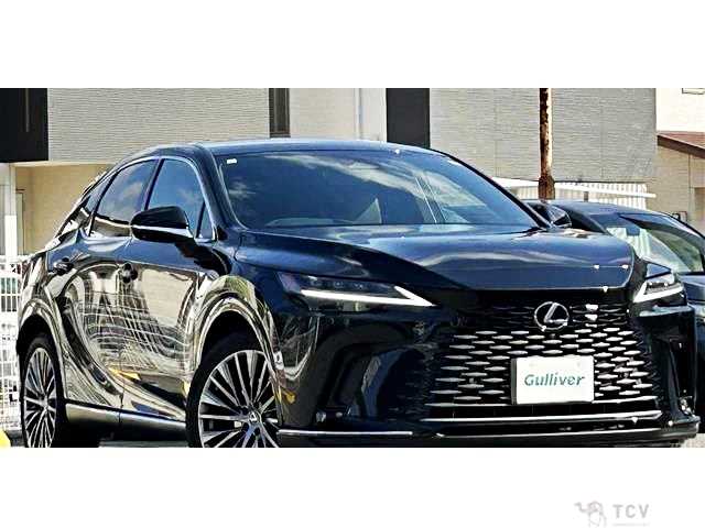 2024 Lexus RX